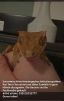 Bild 6/6