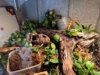 Bild 5/7