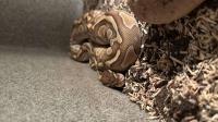 Bild 7/7