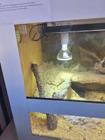 Bild 6/9