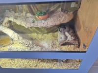 Bild 8/9