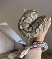 Bild 7/7