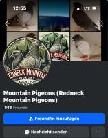Bild 2/2
