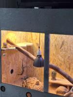 Bild 5/6