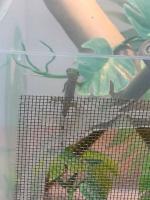 Bild 6/6