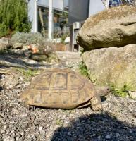 Bild 9/13