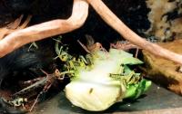 Bild 3/8