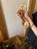 Bild 6/10