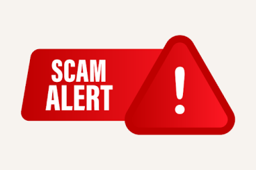 Schlangen kaufen und verkaufen Foto: Milan Kočiš SCAMMER ALERT Schlangen kaufen und verkaufen Foto: Milan Kočiš SCAMMER ALERT