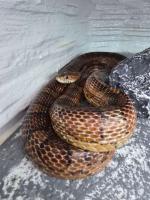 Bild 7/8