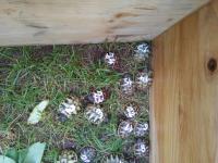 Bild 5/6
