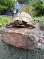 Bild 6/6