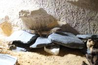 Bild 7/7