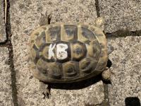 Bild 9/9