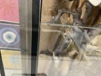 Bild 6/7