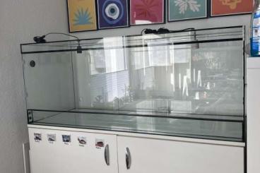 Lizards kaufen und verkaufen Photo: Glas Terrarium 150x60x60cm Lizards kaufen und verkaufen Photo: Glas Terrarium 150x60x60cm
