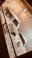 Bild 5/7