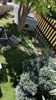 Bild 8/15