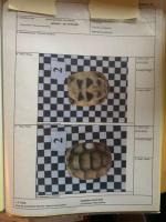 Bild 10/11
