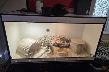 Enclosures kaufen und verkaufen Photo: Forex Terrarium zu verkaufen Enclosures kaufen und verkaufen Photo: Forex Terrarium zu verkaufen