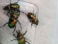 Bild 3/3