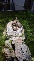 Bild 2/2