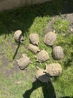 Bild 8/8