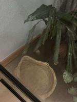 Bild 7/11