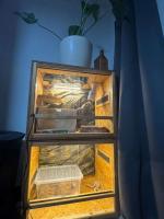 Bild 4/9
