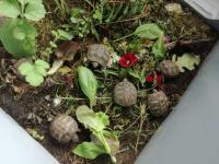 Bild 7/15