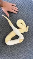 Bild 7/7