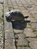 Bild 7/10
