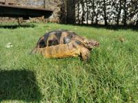 Bild 5/10