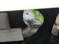 Bild 7/19