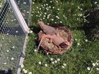 Bild 7/10