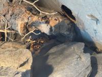 Bild 7/7
