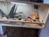 Bild 3/7