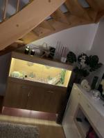 Bild 7/10