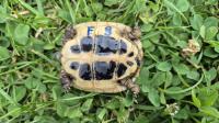 Bild 7/7