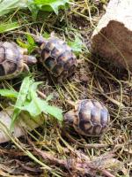 Bild 8/8