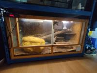 Bild 7/7