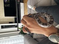 Bild 5/5