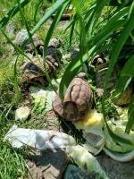 Bild 3/5