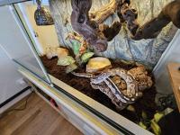 Bild 14/14