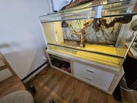 Bild 12/14