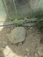 Bild 3/3