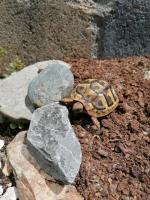 Bild 5/5