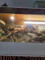 Bild 8/8