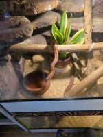 Bild 7/8