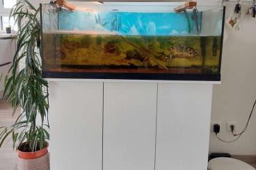 tanks kaufen und verkaufen Photo: Aquarium mit Unterschrank und Zubehör tanks kaufen und verkaufen Photo: Aquarium mit Unterschrank und Zubehör